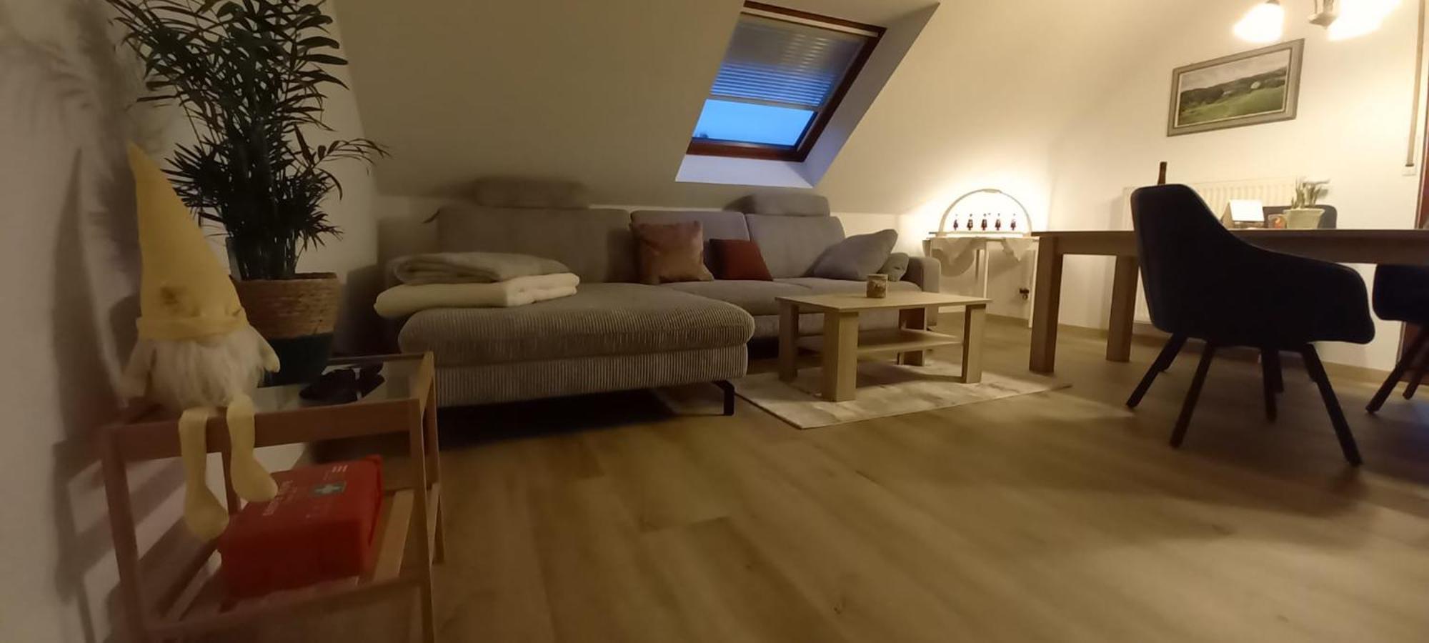 Langenbach Ferienwohnnung Ruth - Familienurlaub Im Erzgebirgeアパートメント エクステリア 写真